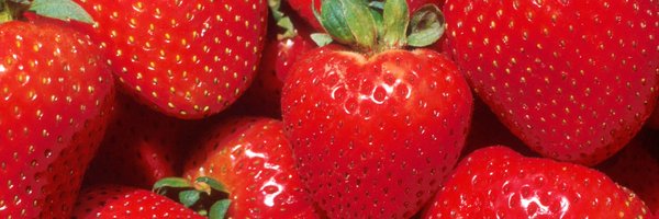 Minuteman04 Profile Banner