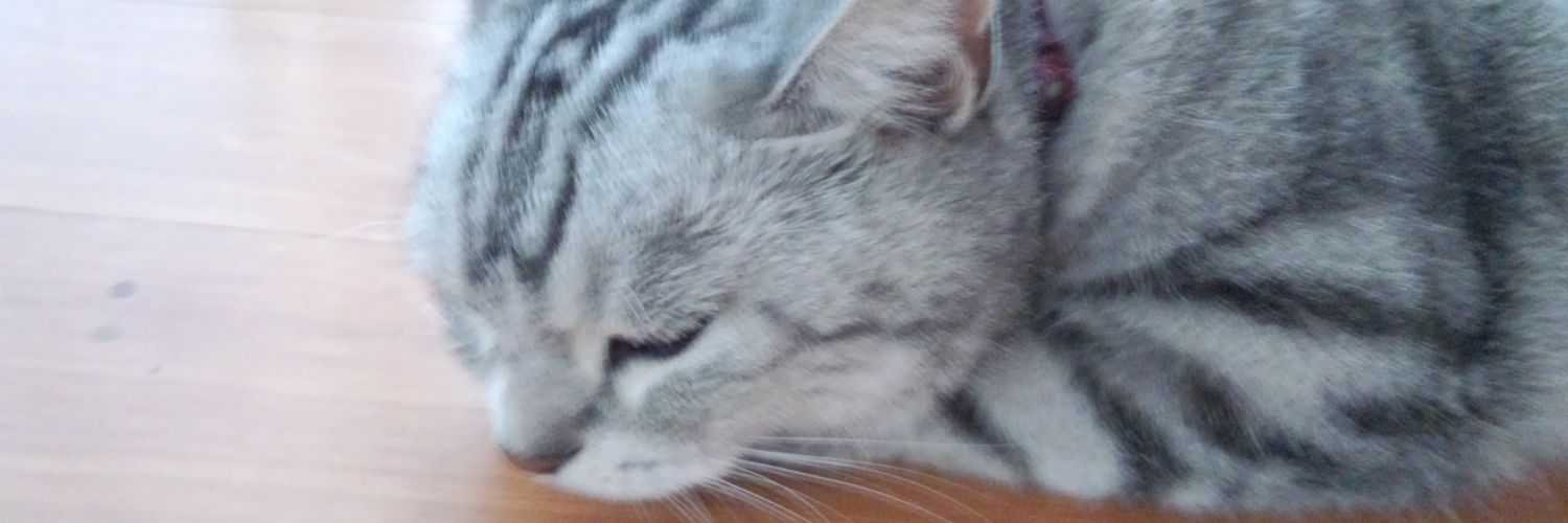 夢すがら（通称あっつ） banner