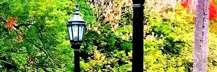 Vladimir Tardewski banner