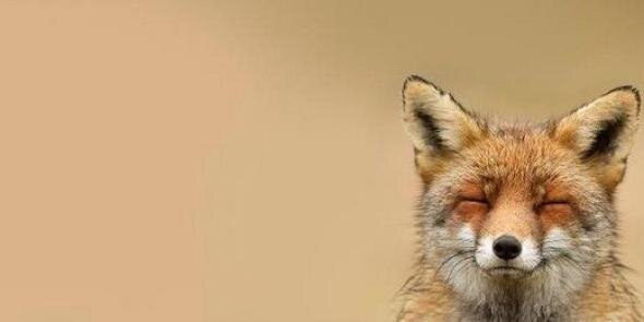 JustMySarcasm's profile banner image