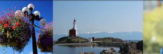 MauriceMConnor's profile banner image