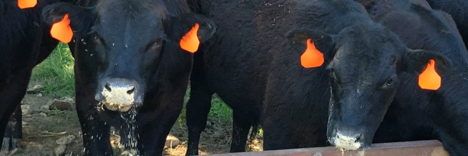 warrencountyag's profile banner image