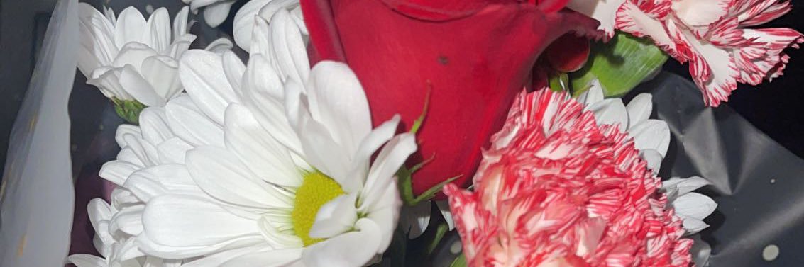 BaaabyyP's profile banner image