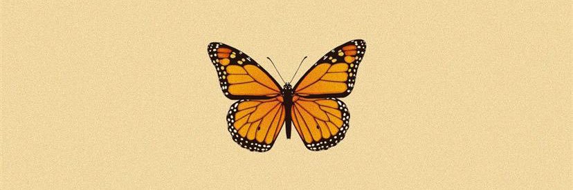 Adrianna 🦋 banner