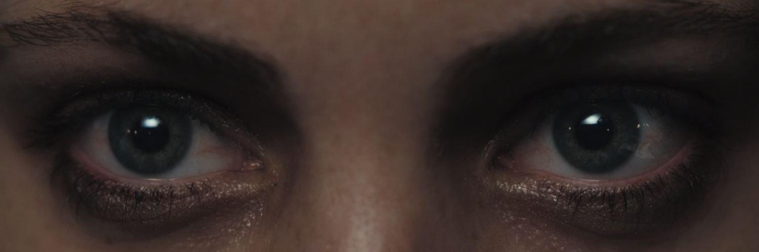 dlbn  banner