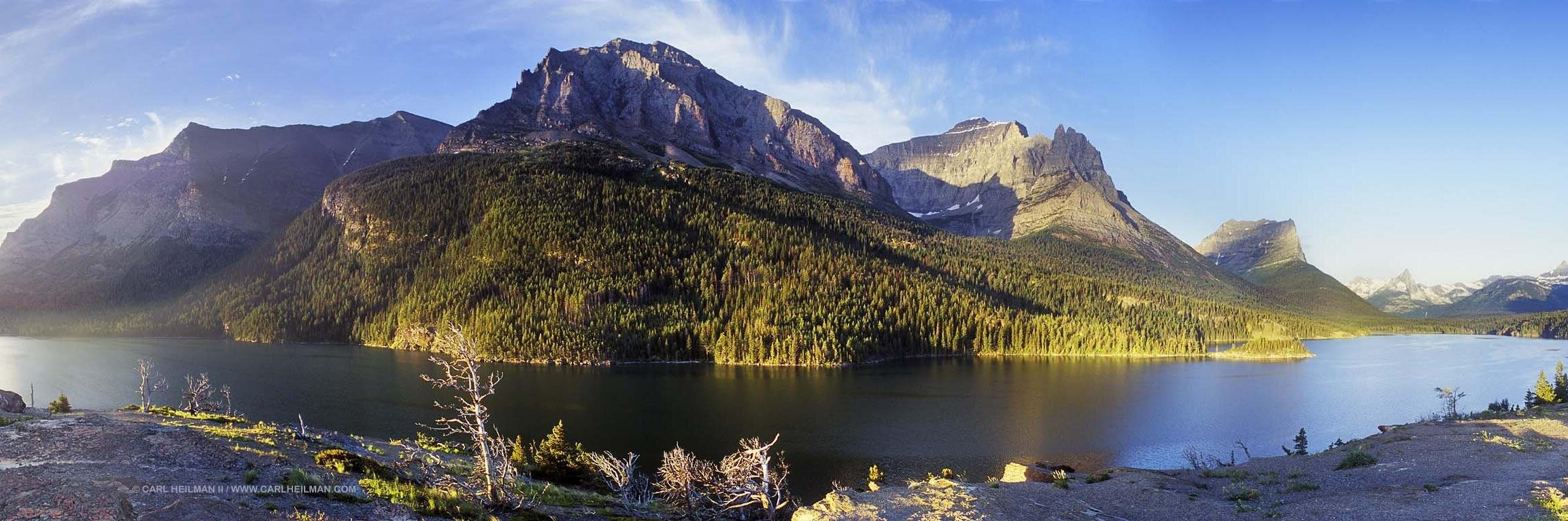 Anarchronia Delarus banner