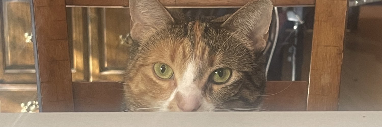 Girth15's profile banner image