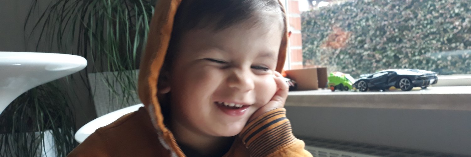 b3lgiannutcase's profile banner image