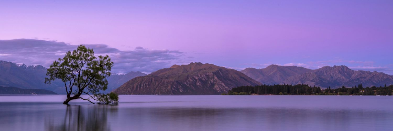 icarpiorod's profile banner image