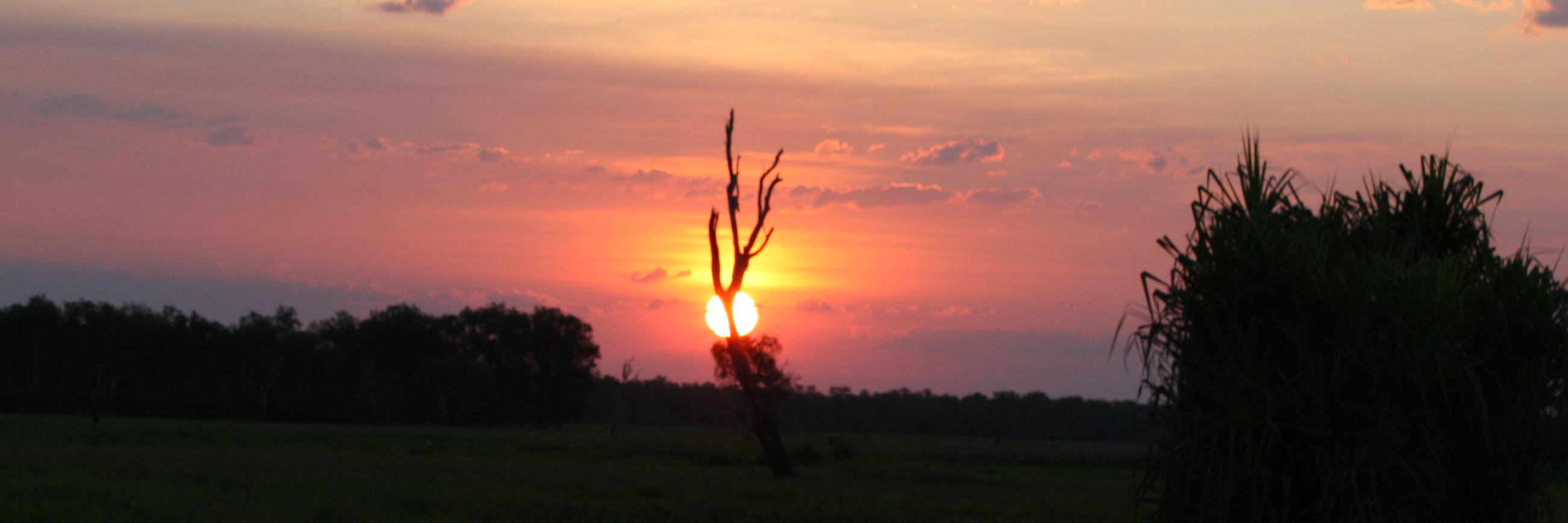 abevelander's profile banner image