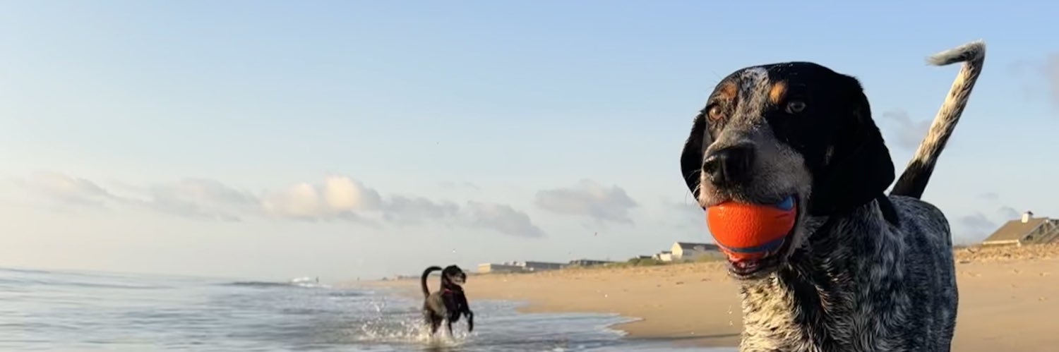 willkinton247's profile banner image