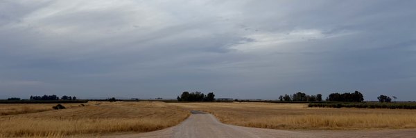 paseveg Profile Banner