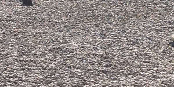 oketvinc's profile banner image