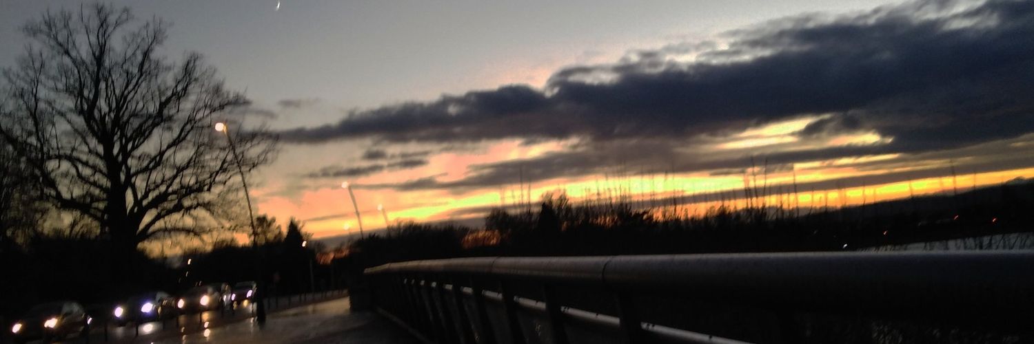penzouille's profile banner image