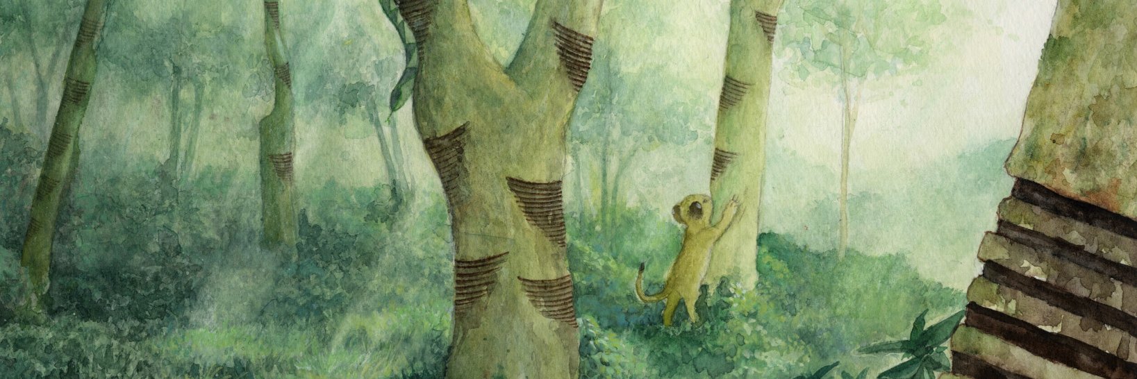 💚💛HASE🐍🦁 banner