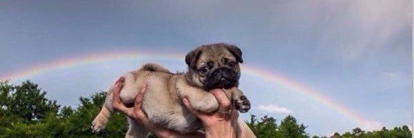 Clayuur Profile Banner