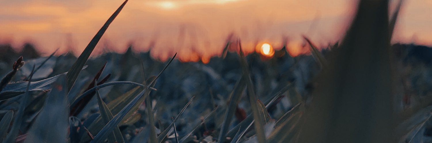 iizzxxnn's profile banner image