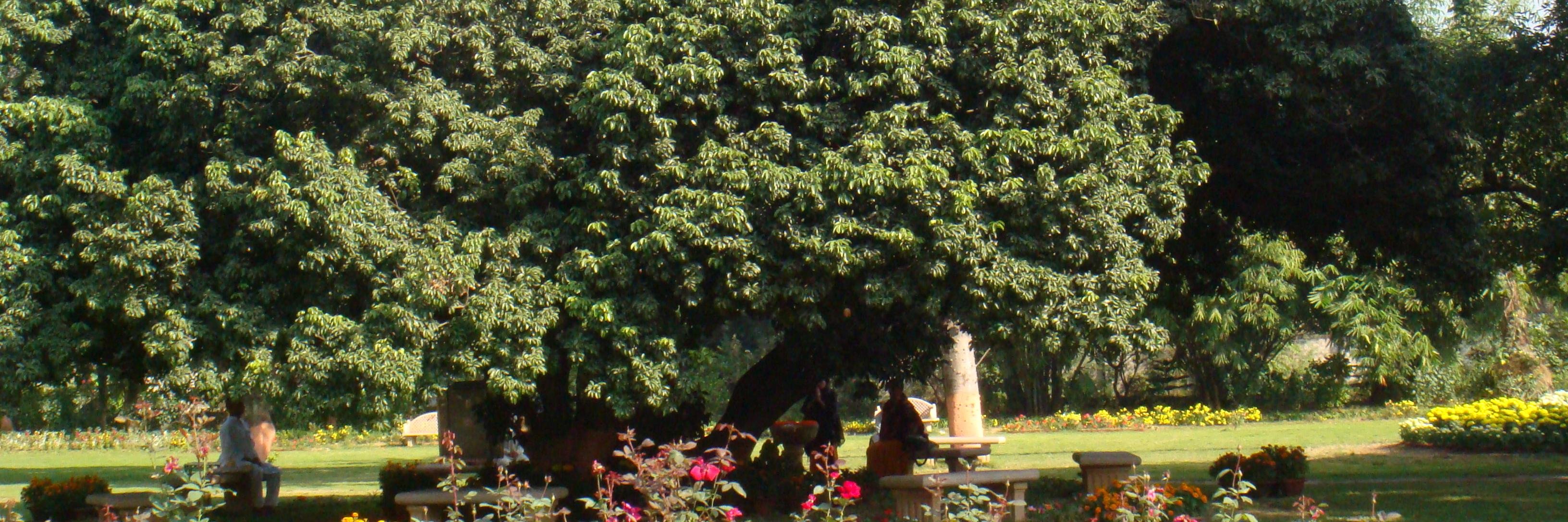 asingh54872627's profile banner image