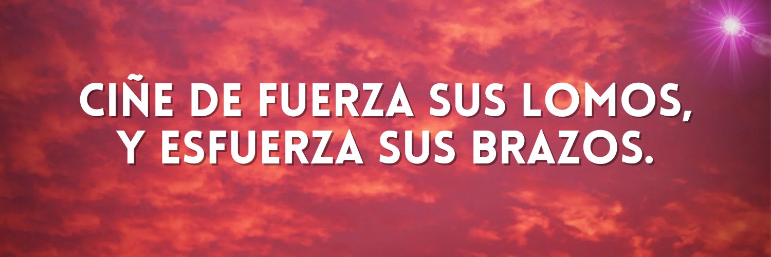 Micagisesuarez's profile banner image