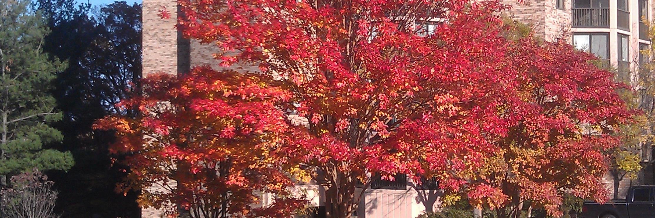 Dave Ecker ✝️ banner