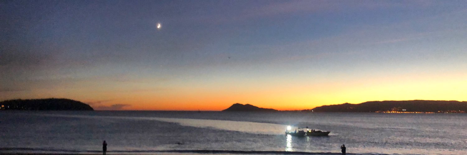 🐾Yoli Vidal 🐾 banner