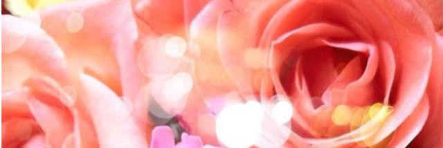 alecuevas2380's profile banner image