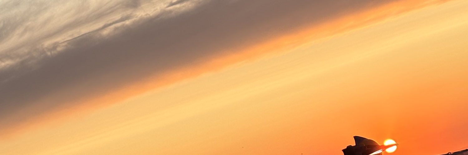Mamie Maevaax 🦋 banner
