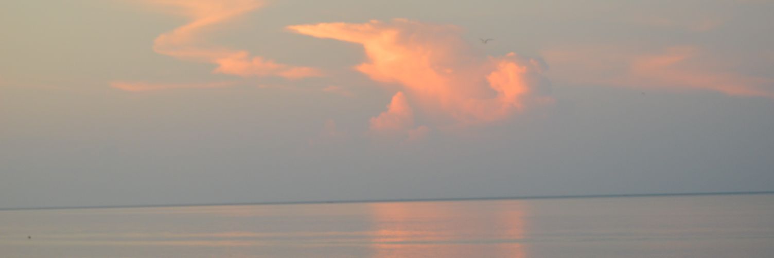 acvdianaa's profile banner image