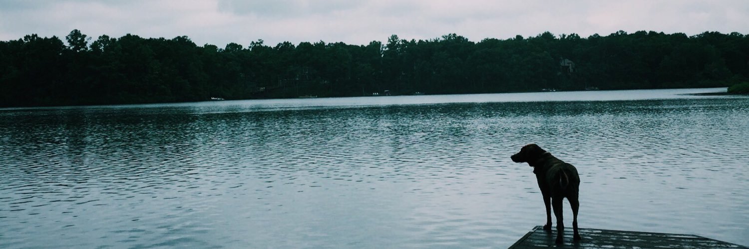 lstumpf19's profile banner image