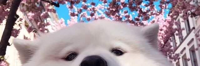 TRVPSTVR's profile banner image