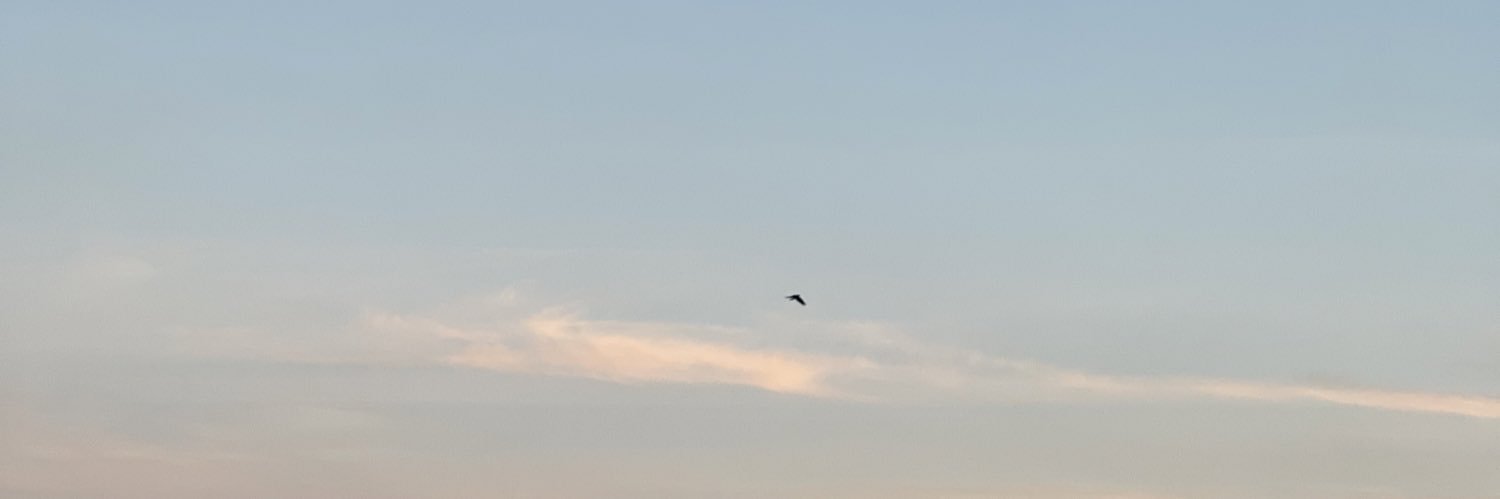 tuugbu's profile banner image