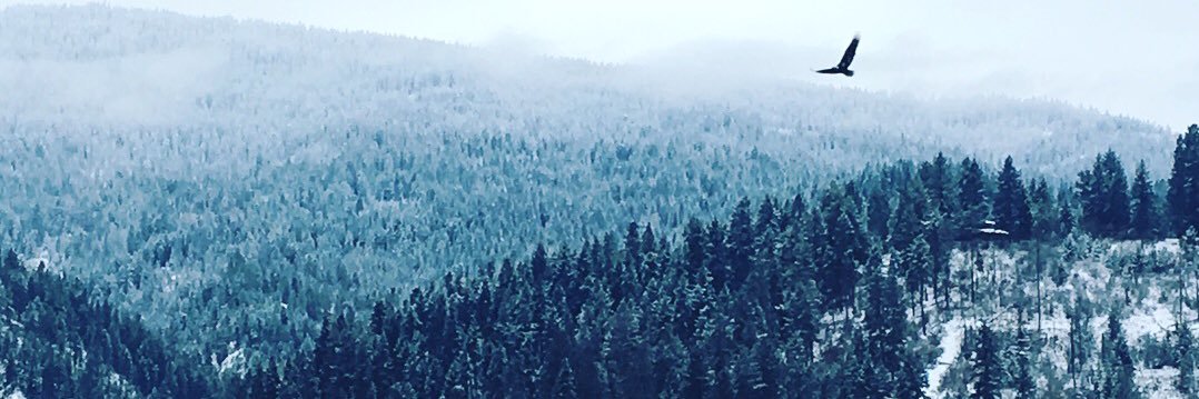 DtricSmith's profile banner image
