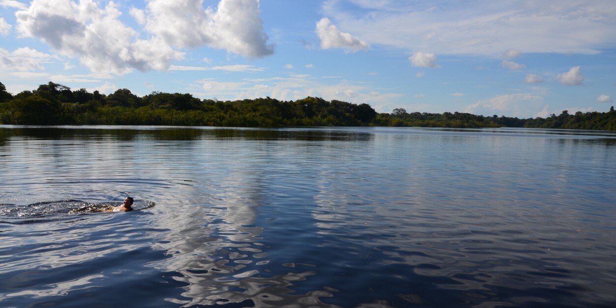 Mathias Bühler banner