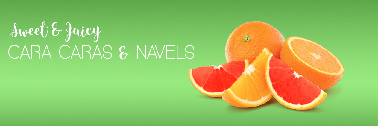 CeceliaPacking's profile banner image