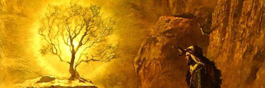 theonlyjomar's profile banner image