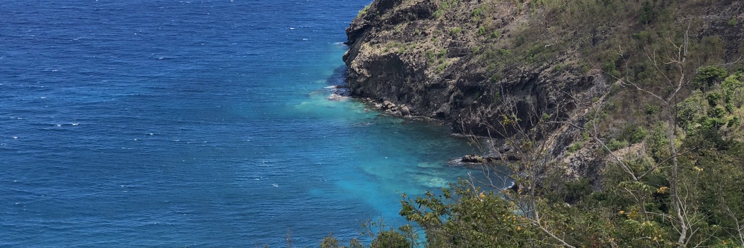 Gwen Sérotte-Mayoute banner