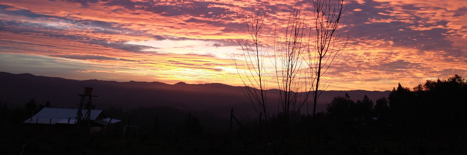 nativalbini's profile banner image