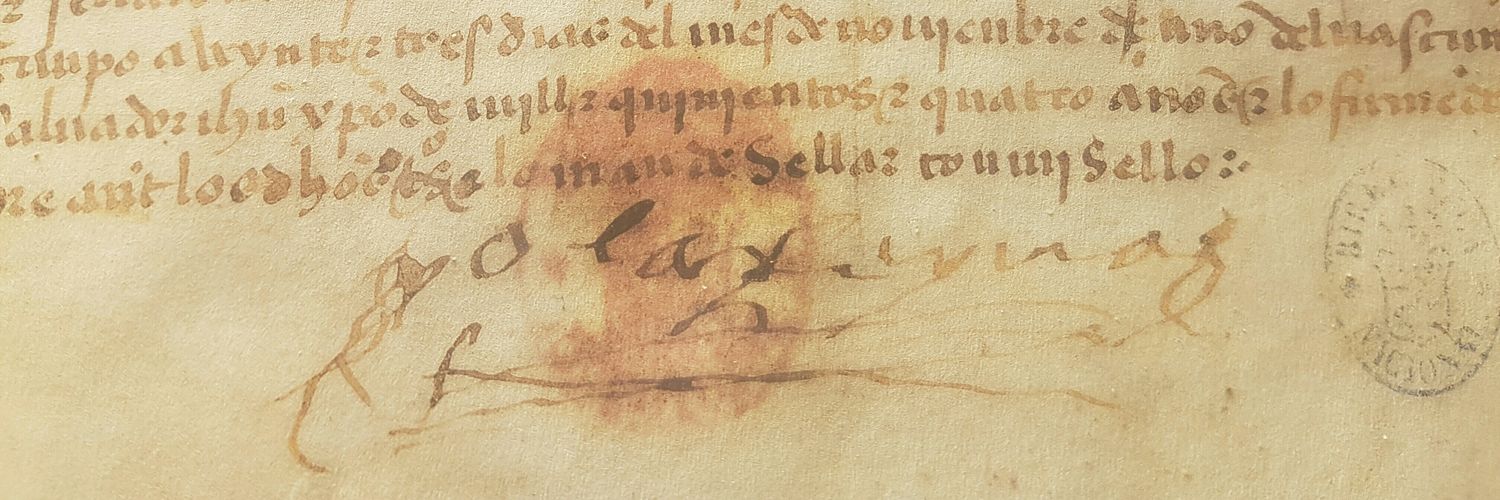 Marilés de Pedro banner