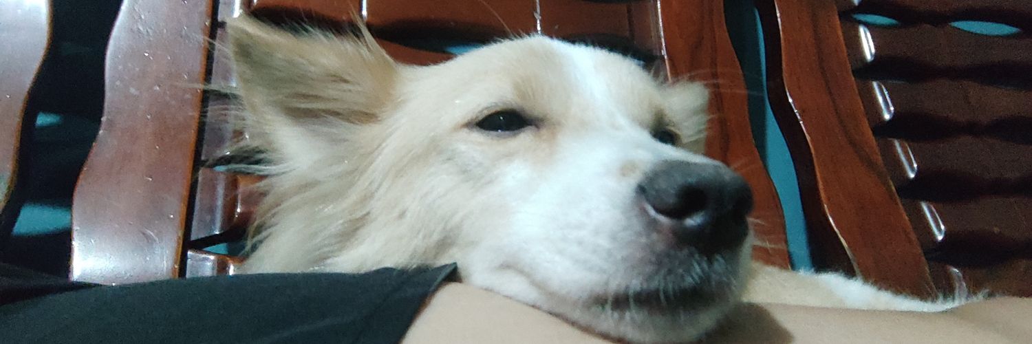 YowYla's profile banner image