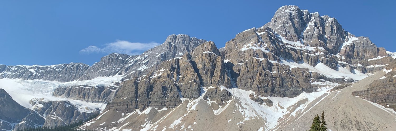 karyn webster banner