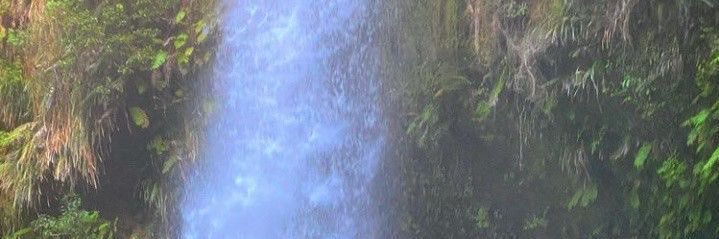 bnnyfleur's profile banner image
