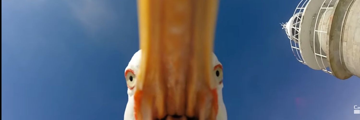 quinteroedward8's profile banner image