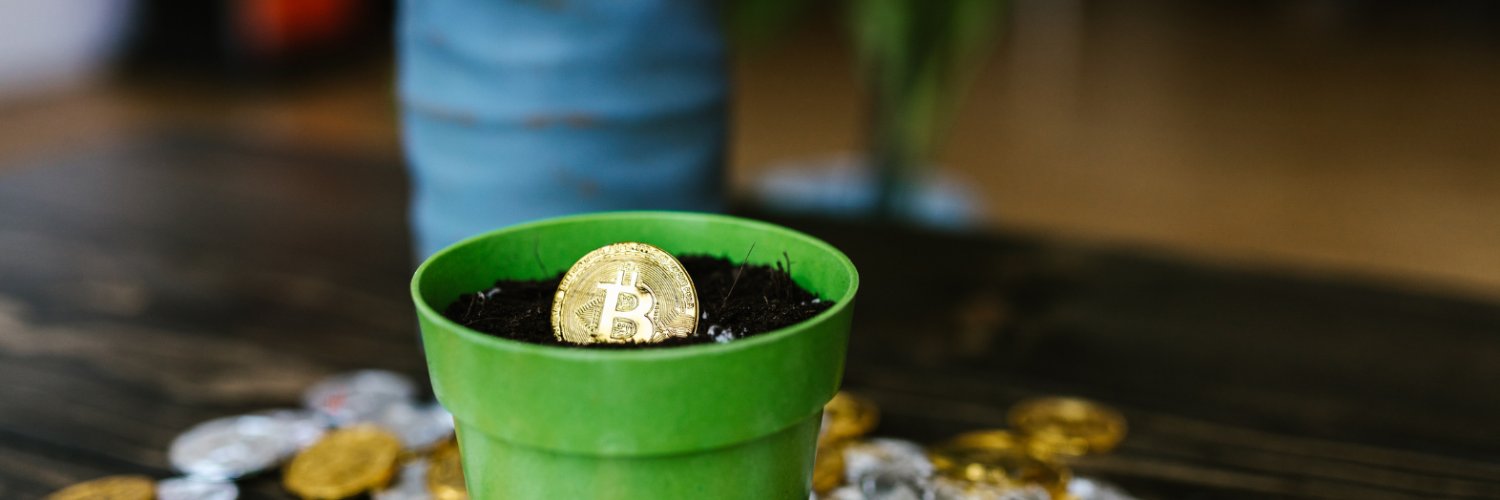tokensprout's profile banner image