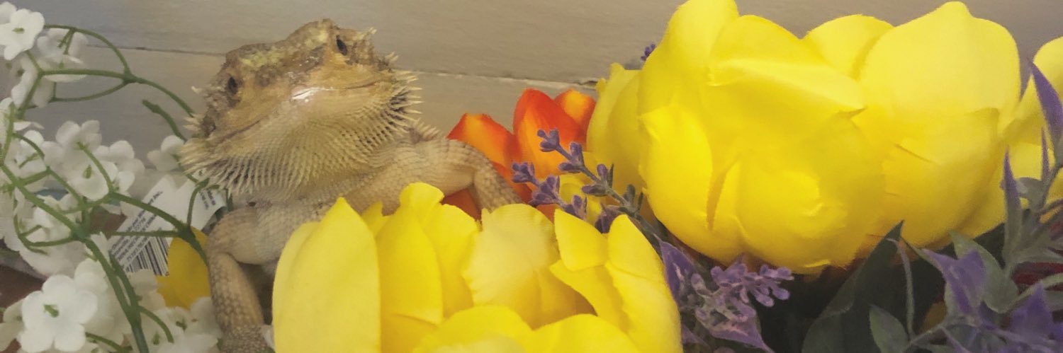 myreyo's profile banner image