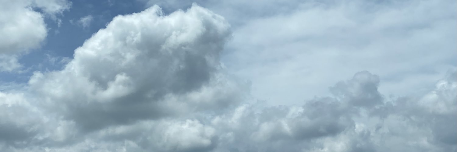 The Night King banner