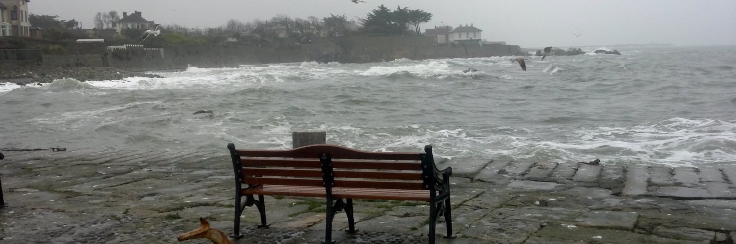 Conal O'Herlihy banner