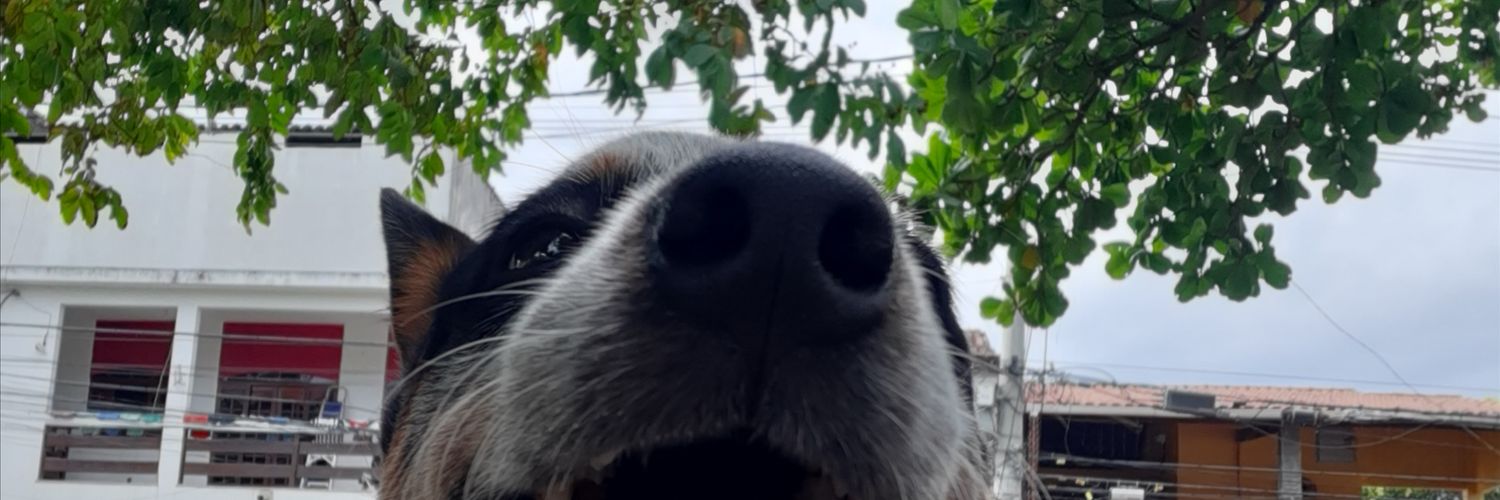 penificada's profile banner image