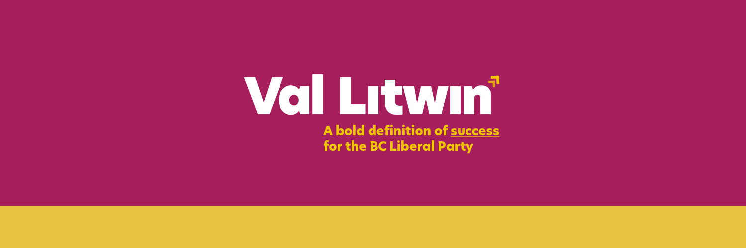 Val Litwin banner