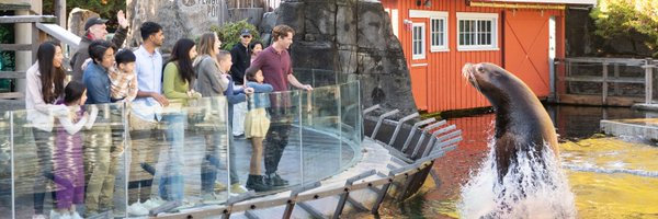 vanaqua Profile Banner