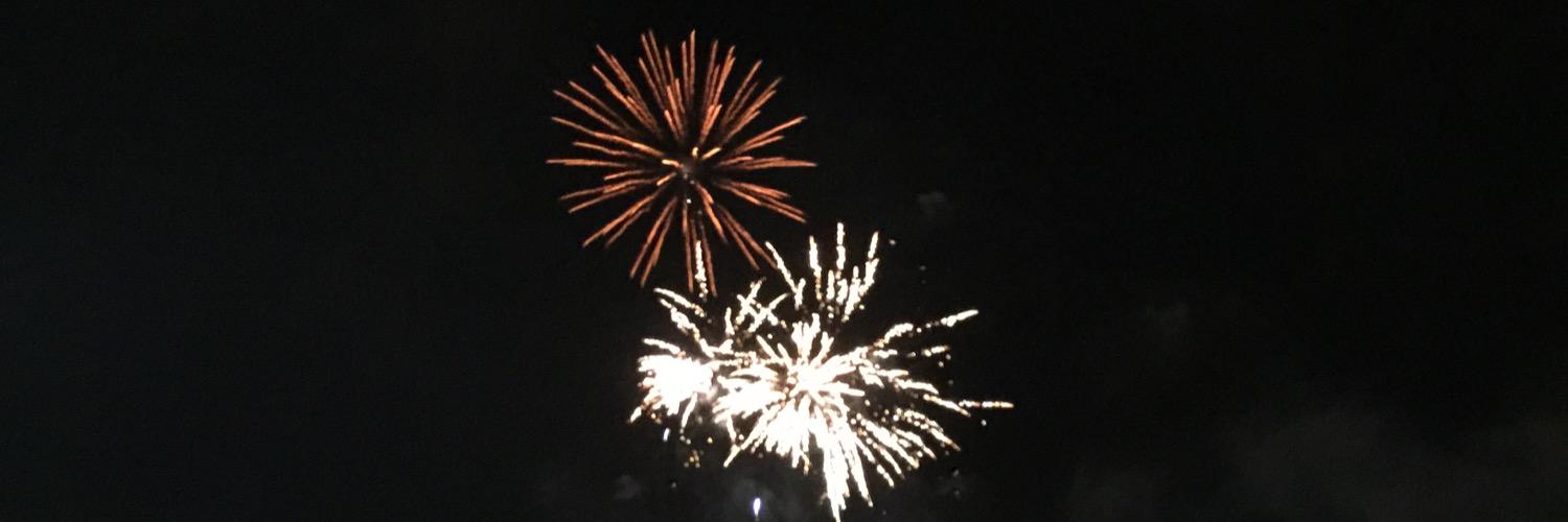 mrswendyflea's profile banner image